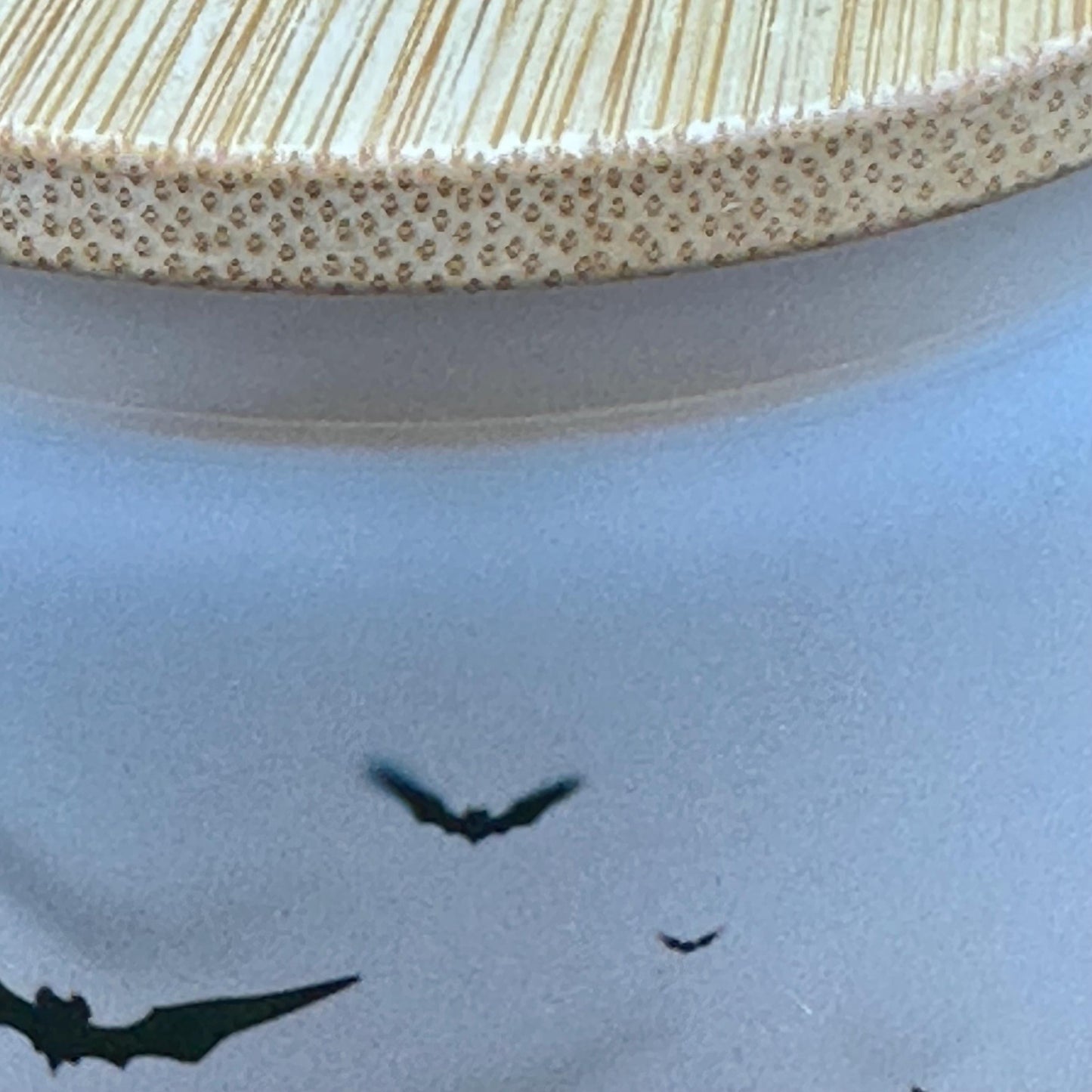 Slightly Imperfect Halloween Bats Frosted Glass Tumbler - 16oz Iced Coffee Cup